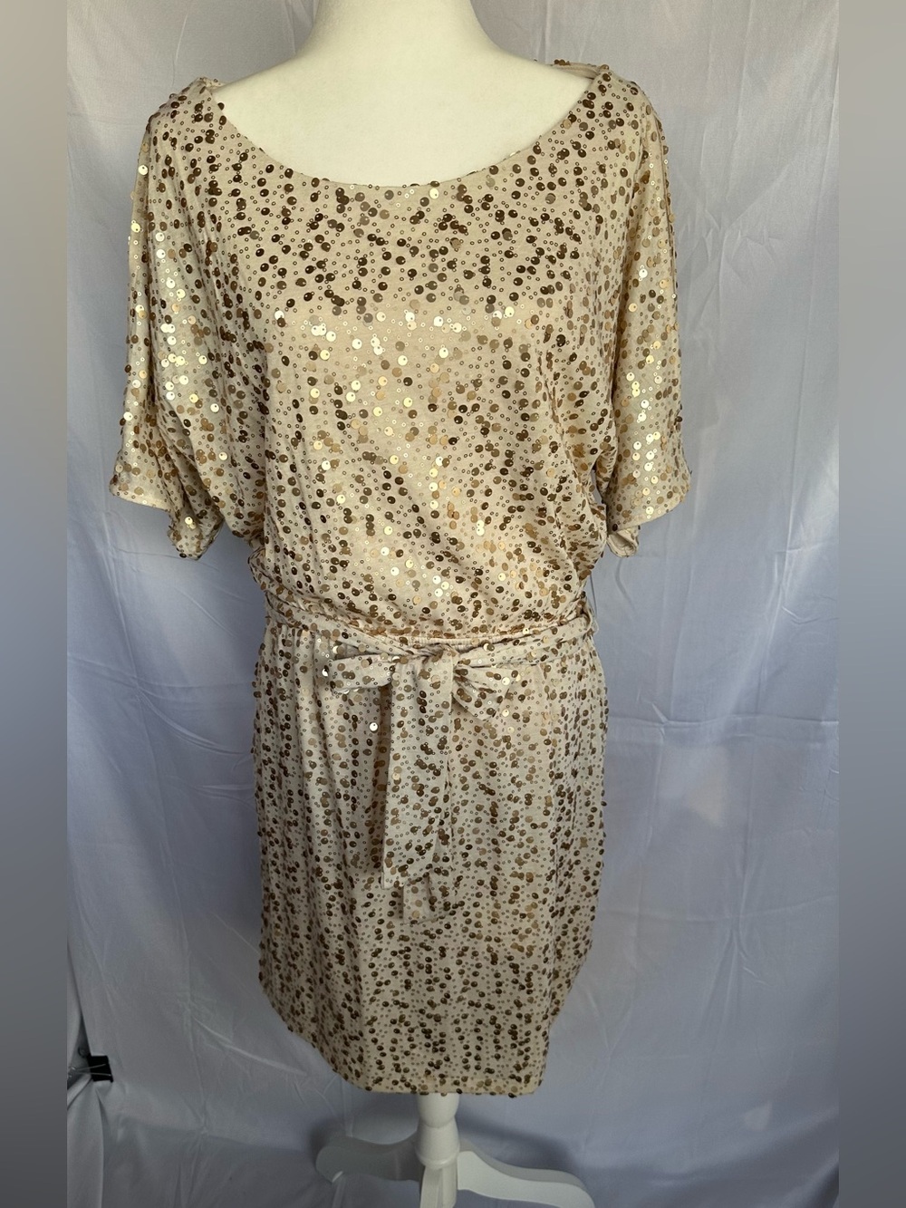 New York & Company Champagne Sequin Belted Dress